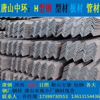 河南新鄉廠家直銷角鋼 津西唐鋼一級代理多種材質 大量庫存