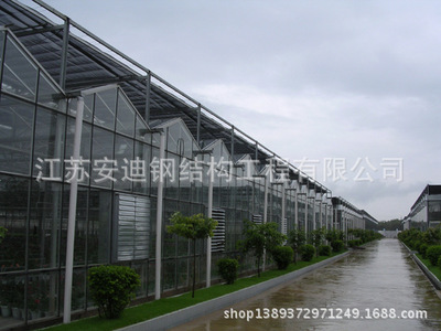 安迪供應 玻璃溫室 頂部全開啟式連棟溫室 溫室大棚 連棟溫室