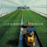 供應(yīng)鋼結(jié)構(gòu)網(wǎng)架連棟溫室大棚,廠家直接供貨