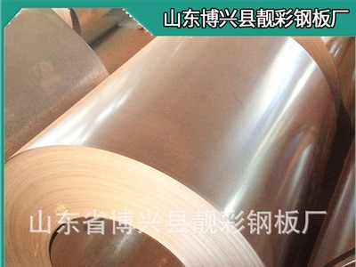 廠家特供耐腐蝕無花鍍鋅板 環(huán)保帶花保溫鍍鋅鐵皮卷