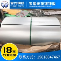 廠家鍍鋅板卷 電解板白鐵皮 寶鋼無花鍍鋅板現貨鍍鋅鋼板熱鍍鋅