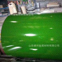 彩鋼板廠家直銷 納米彩鋼卷 樹脂彩涂板 高質(zhì)量彩涂板 可加工沖孔