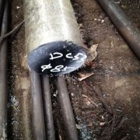 東北特鋼供應 樂從DC53圓鋼DC53車光料口罩機齒模滾齒專用鋼