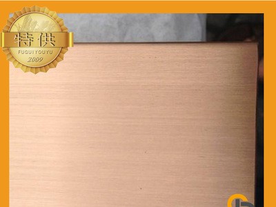 201不銹鋼拉絲玫瑰金佛山不銹鋼板可加工0.6*1220*2440可開不定尺