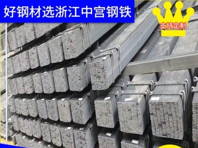 浙江 杭州 鍍鋅扁鋼 扁鐵 鍍鋅扁鋼 扁鋼 批發(fā) 量大價優(yōu)