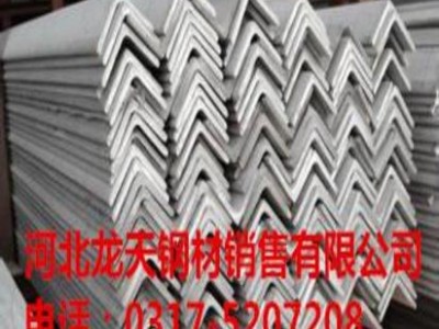 河北廠家直銷供應(yīng)鍍鋅角鋼