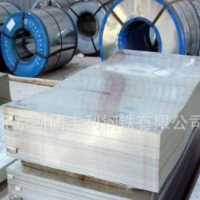 有花無花鍍鋅板 鋼廠直發 防腐蝕鍍鋅 量大優惠