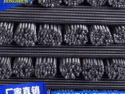 廠家直銷穿墻螺桿 對拉粗牙螺桿 東莞穿墻螺桿批發現貨齊全