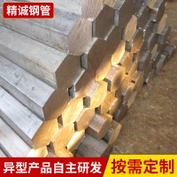 廠家批發(fā) 標準無縫異型鋼 小尺寸精密異型鋼 不銹鋼異型管定制