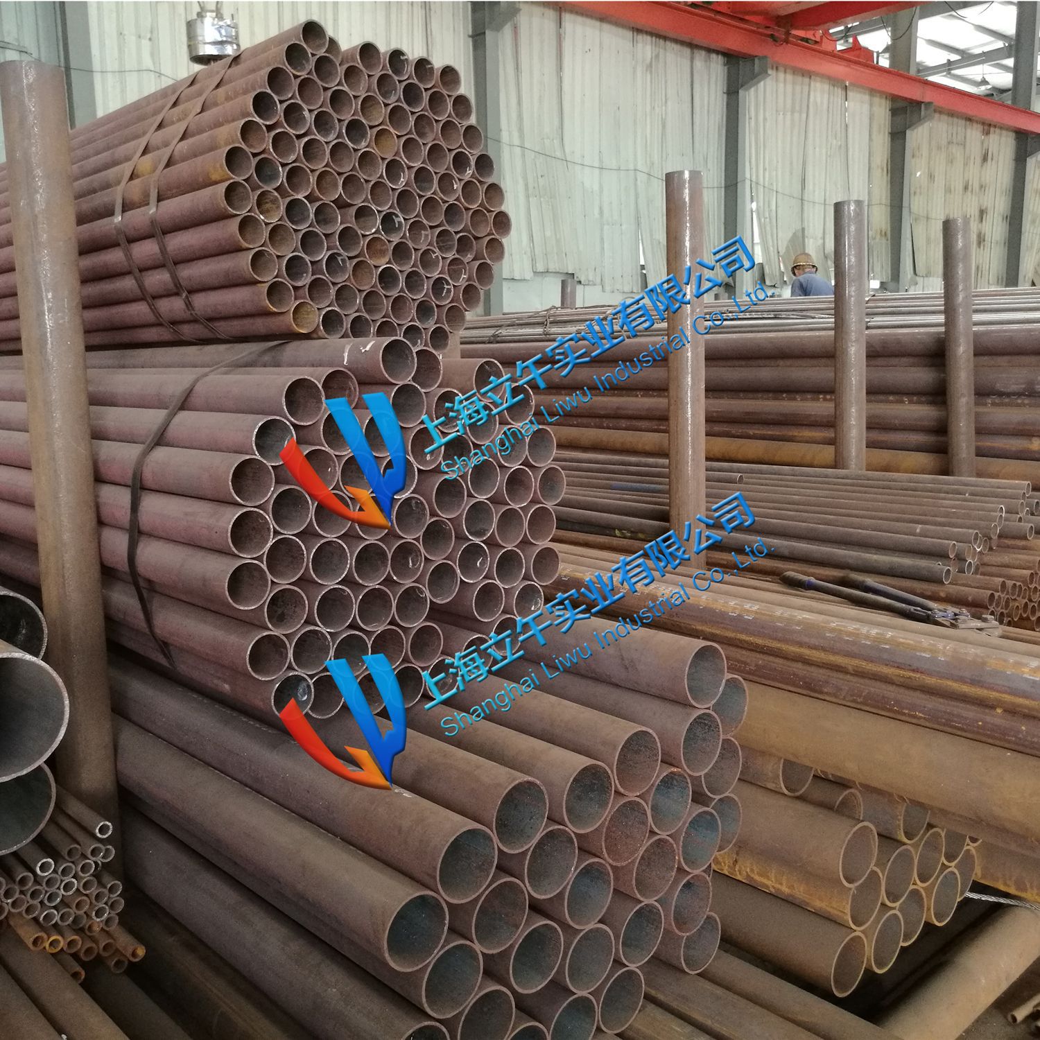 鋼管05 立午 阿里巴巴