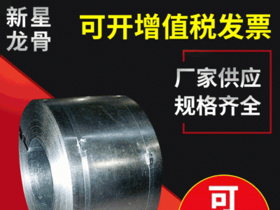 Q195非標精軋熱鍍鋅帶鋼 耐高溫光亮熱鍍鋅鋼帶 高強度板帶