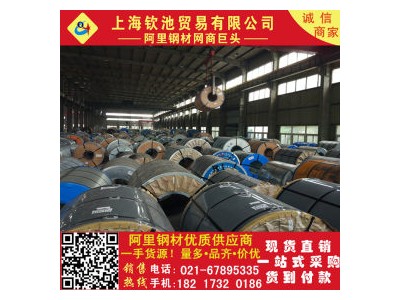 鍍鋅板 SGCC鍍鋅卷 白鐵皮 有花鍍鋅板 無花無油鍍鋅板可定尺開平