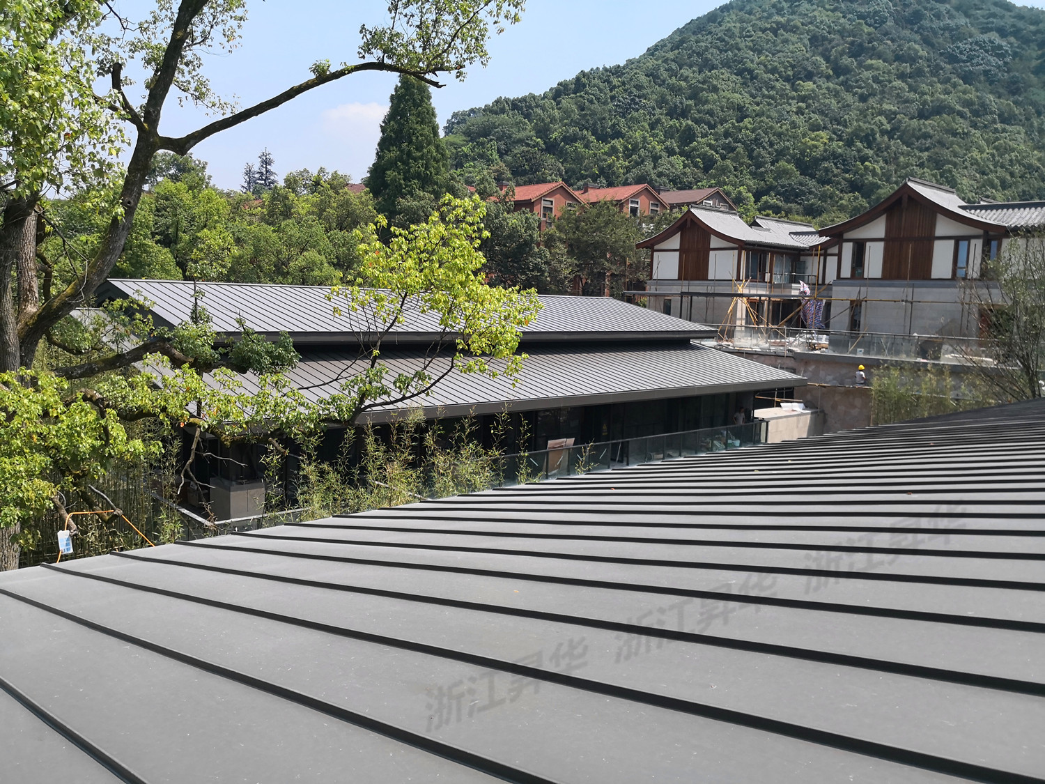 現場原圖IMG_20180807_110000_副本