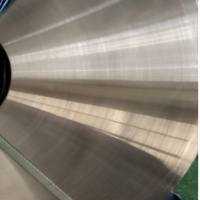 東莞供應(yīng)SUS301精密不銹鋼帶 高硬度高韌性彈簧鋼 廠家直銷可分條