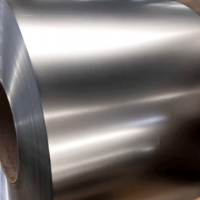 【元瑞】麻面鍍錫鐵磨砂面馬口鐵,硬度T4 T3 T2.5 T5 DR9