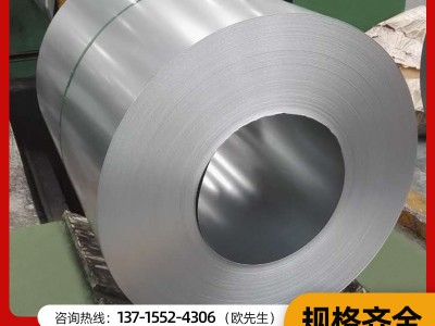 無(wú)花耐指紋鍍鋅鋼板 白鐵皮卷板涂鍍熱鍍鋅鋼卷可加工廠家直供