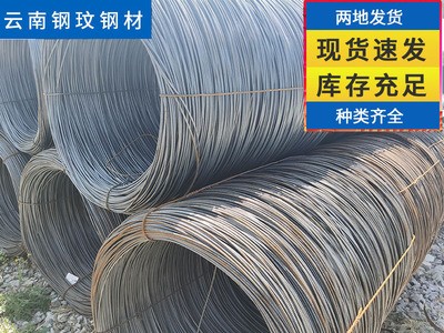 鋼材批發(fā)廠家供應(yīng)圓盤線材 規(guī)格齊全質(zhì)量保障 盤螺線材支持定制