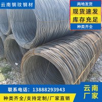 鋼材批發(fā)廠家供應(yīng)圓盤線材 規(guī)格齊全質(zhì)量保障 盤螺線材支持定制