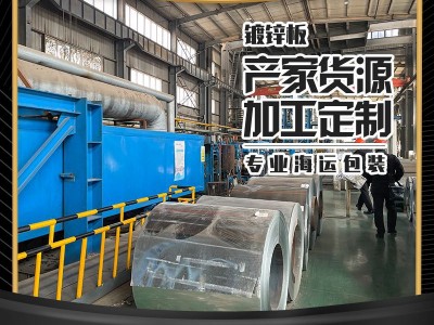 廠家現貨鍍鋅板 有花無花鍍鋅鋼板 大花鍍鋅白鐵皮