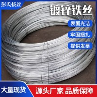源頭廠家圓形 鍍鋅鐵絲8# 不易磨損捆綁絲 果園搭架鐵絲線多規(guī)格