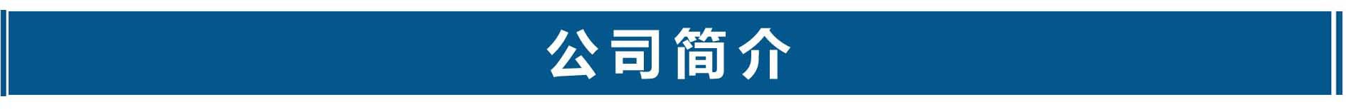 公司簡介