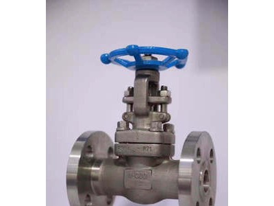 廠家批發不銹鋼鍛鋼截止閥，圖片僅供參考