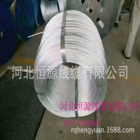 廠家直銷 熱鍍鋅鋼絲 鋼絞線