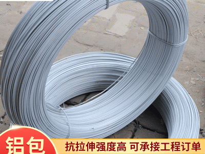 廠家供應鋁包鋼搭架鋼絲 葡萄搭架鋁包鋼絲 金屬絲鋁包鋼支持定制