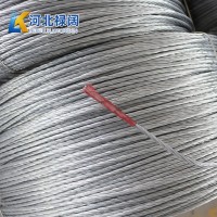 水果蔬菜大棚骨架用鍍鋅鋼絲鋼絞線 標準鍍鋅鋼絞線多型號可選