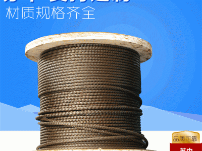 批發(fā)寵物牽引光面鍍鋅鋼絲繩加工定制PVC晾衣鋼絲繩涂塑鋼絲繩