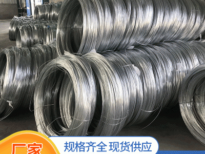 廠家熱鍍鋅鋼絲2.2 2.6mm大棚鋼絲線葡萄架獼猴桃鍍鋅鋼絲調(diào)直