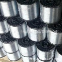 鍍鋅鐵絲 工藝絲口罩線果袋絲45#軸絲 可塑形鍍鋅軸絲廠家生產(chǎn)