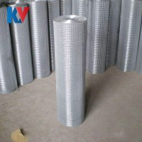 【電焊網】鍍鋅電焊網建筑抹墻網養殖圈地網玉米網