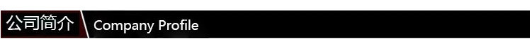 公司簡(jiǎn)介