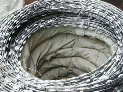 廠家現貨支持定制監獄護欄網熱鍍鋅防護網看守所護欄網刀片刺繩