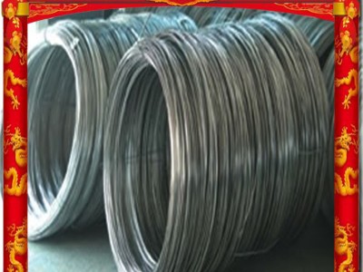 現貨 202彈簧鋼絲 1Cr18Mn8Ni5N無磁不銹鋼彈簧鋼絲 規格齊全