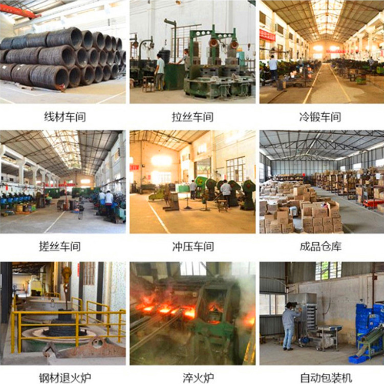 4466962423_633558289