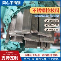 廠家直發不銹鋼異型材 304不銹鋼扁條 拉枝料批發 規格齊全