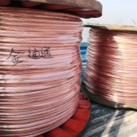 接地線 多股銅絞線 硬銅絞線TJr 120平銅絞線 定做交貨快