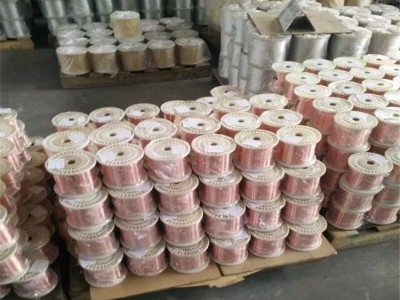 上海實驗用tu1紫銅絲0.6mm0.8mmC1020無氧紫銅線廠家 TU2紫銅線