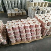 上海實驗用tu1紫銅絲0.6mm0.8mmC1020無氧紫銅線廠家 TU2紫銅線
