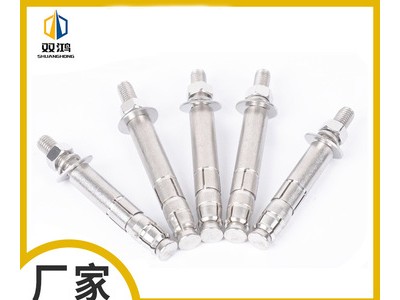 不銹鋼機械錨栓 304后擴底錨栓 高強度錨栓 機械錨栓 M12 M16