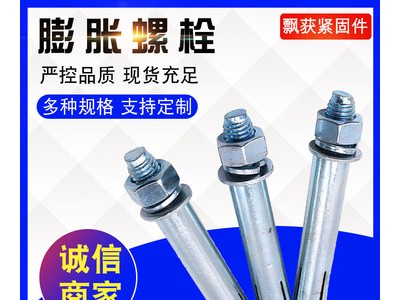 現(xiàn)貨供應國標碳鋼鍍鋅大小頭膨脹螺絲 拉爆加長膨脹螺栓M6-M24