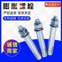 現貨供應國標碳鋼鍍鋅大小頭膨脹螺絲 拉爆加長膨脹螺栓M6-M24