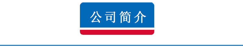 公司簡介