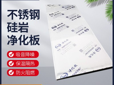 硅巖凈化板 廠家直銷 硅巖保溫板材 防火隔墻板硅巖彩鋼板復(fù)合板