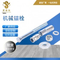 機械錨栓 304 316不銹鋼化學錨栓 械錨栓 后擴式錨栓