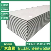 廠家批發(fā)中空玻鎂手工凈化板 手工玻鎂夾芯彩鋼板 中空玻鎂板定制