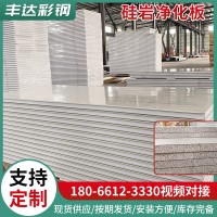 無塵車間硅巖板墻體保溫材料巖棉彩鋼夾心板隔熱可定制硅巖凈化板