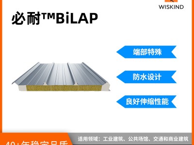 美麗工廠屋面防水性能可靠伸縮性好捷必耐BiLAP夾芯板屋面系統